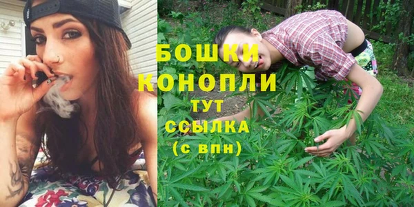 гидра Богданович