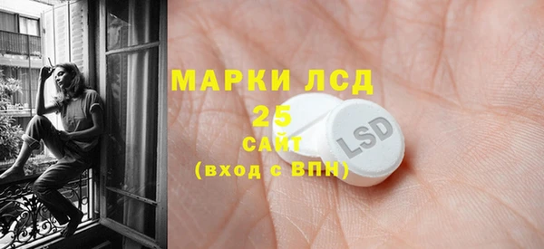 гидра Богданович