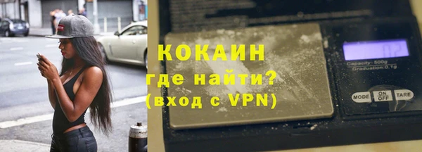 гидра Богданович