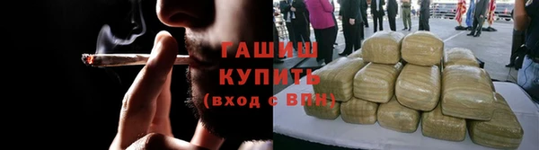гидра Богданович