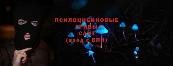 гидра Богданович