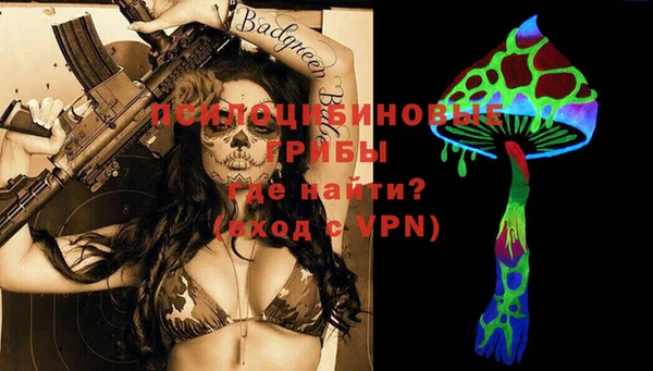 гидра Богданович