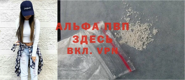 гидра Богданович