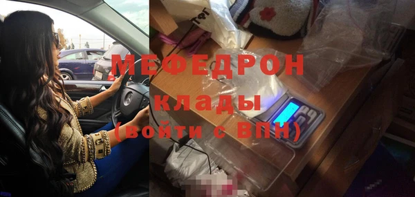 гидра Богданович